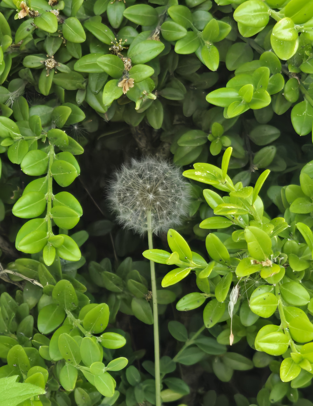 정들JeongDeul - Artist Profile