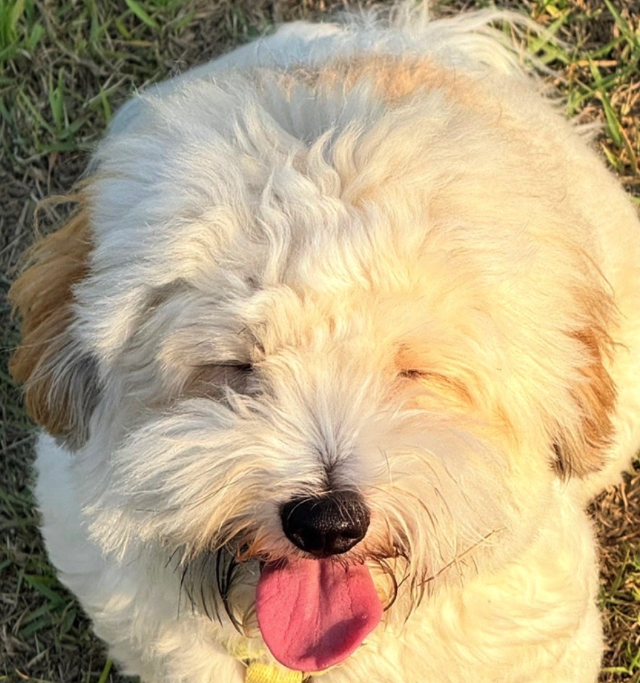 Hui Hyeon - Artist Profile