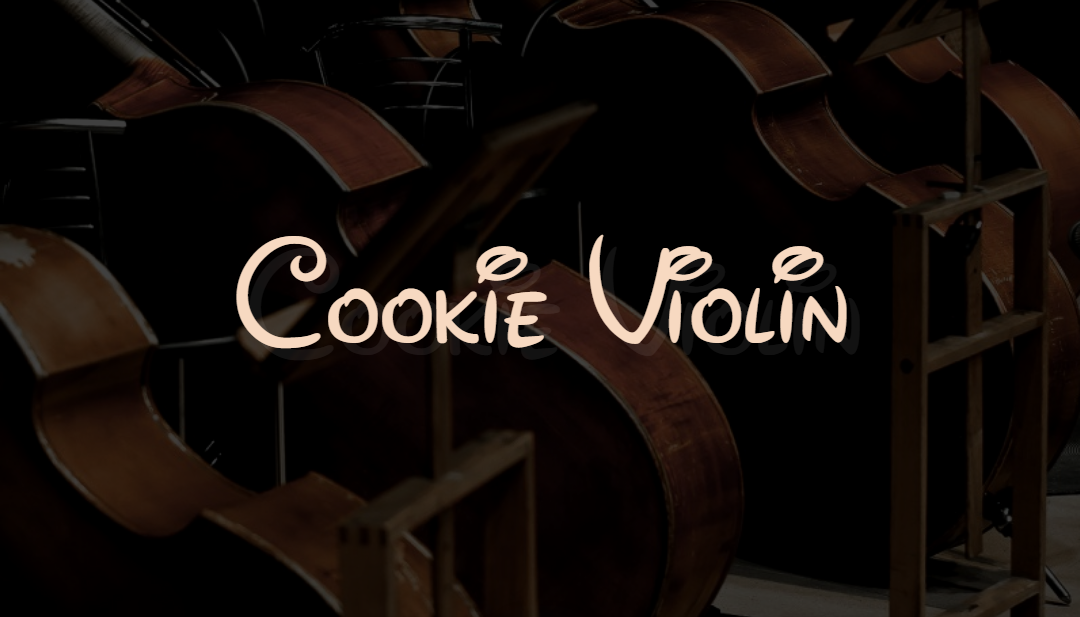 성영재 / Cookie Violin  - Artist Profile