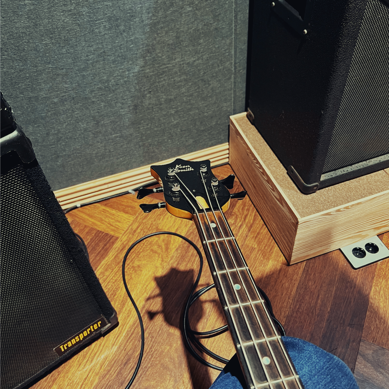 Hoya - Artist Profile