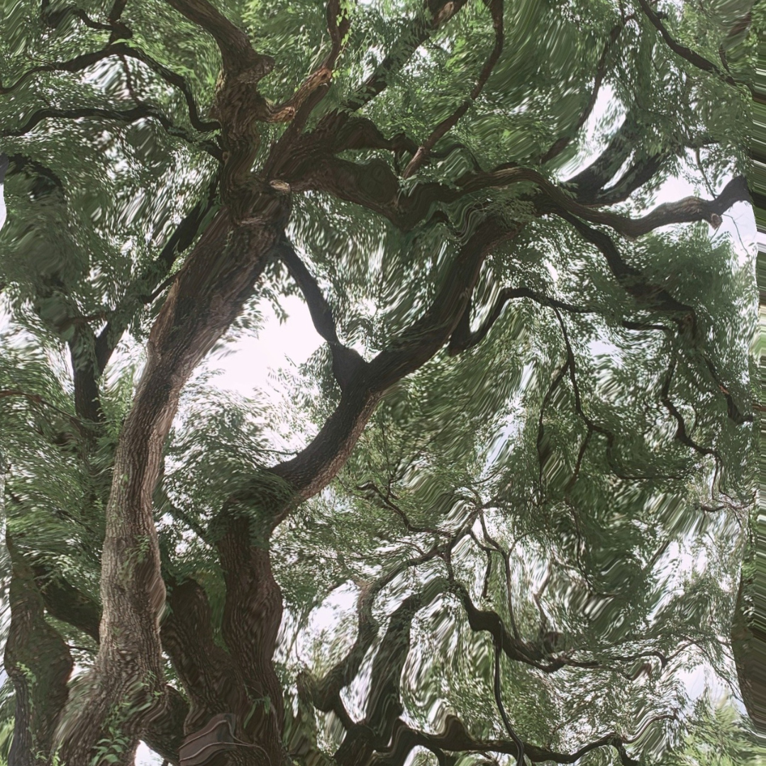 Inoreze - Artist Profile