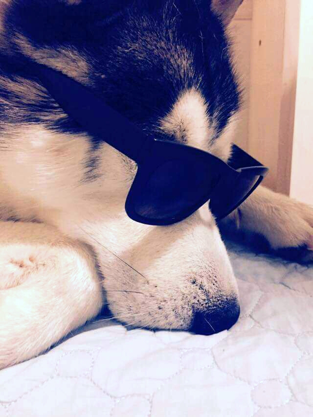 junyeongseo - Artist Profile