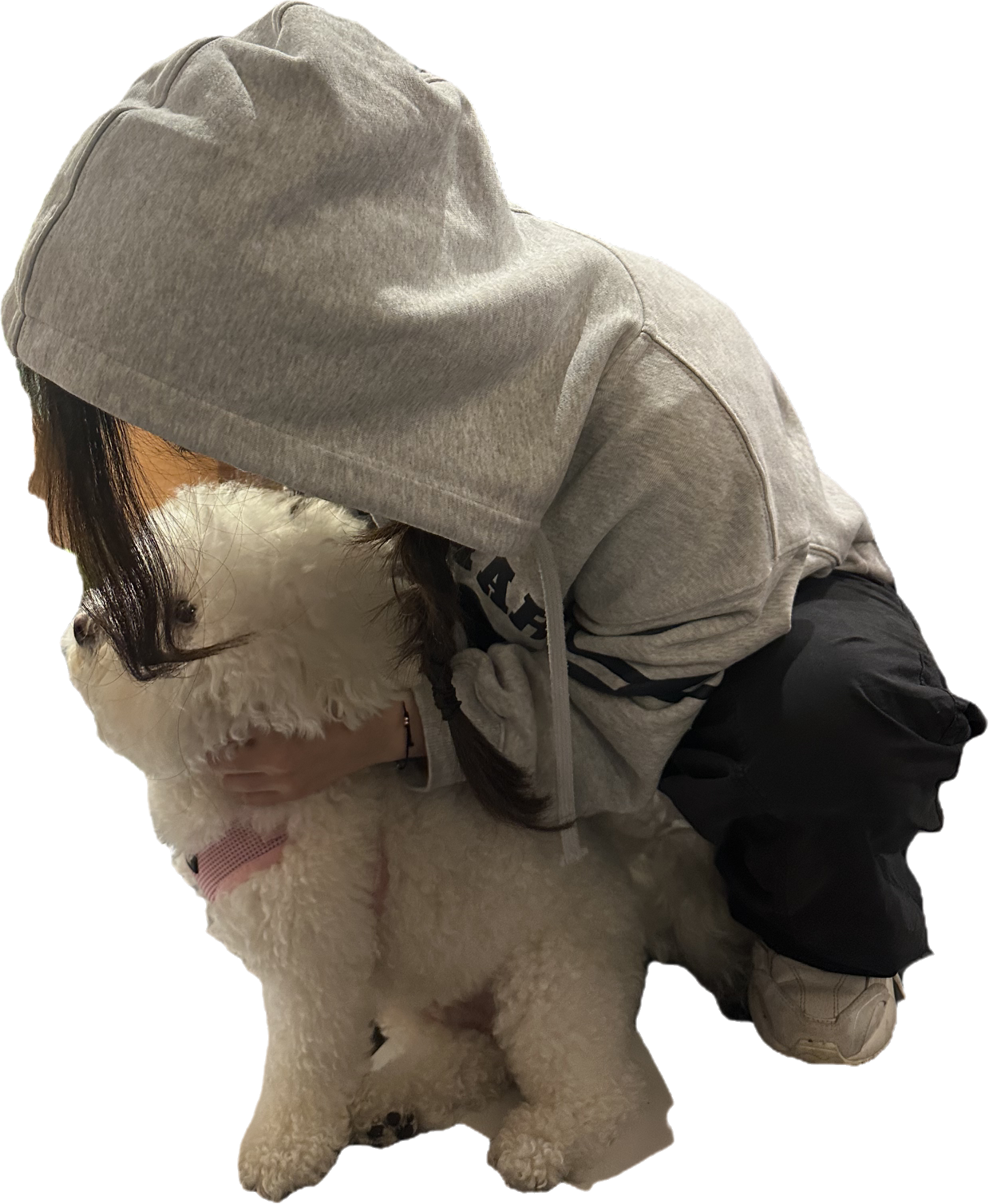 루이Rui - Artist Profile