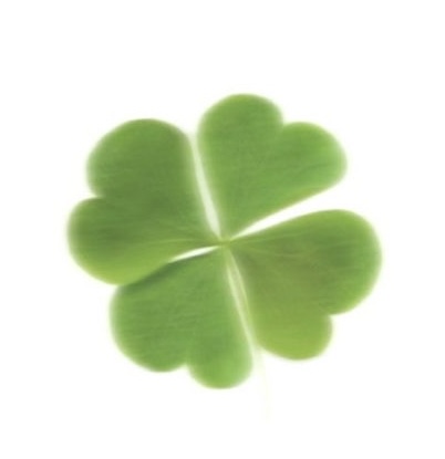 권이진 YIJIN - Artist Profile