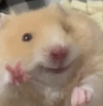 zizon - Artist Profile