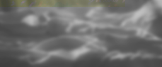 glglgool - Artist Profile