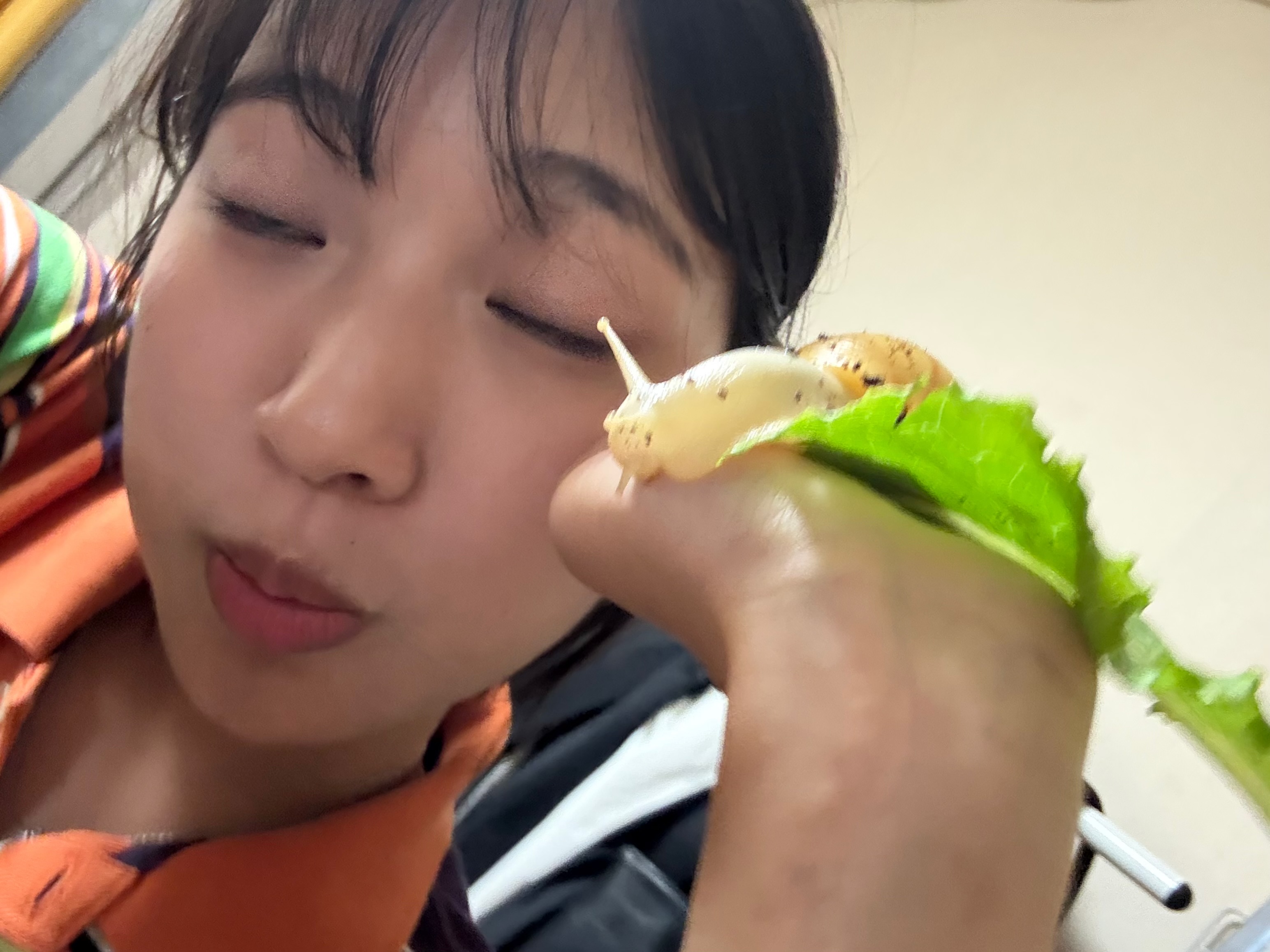 Chitsoly - Artist Profile