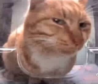 김미곰 - Artist Profile