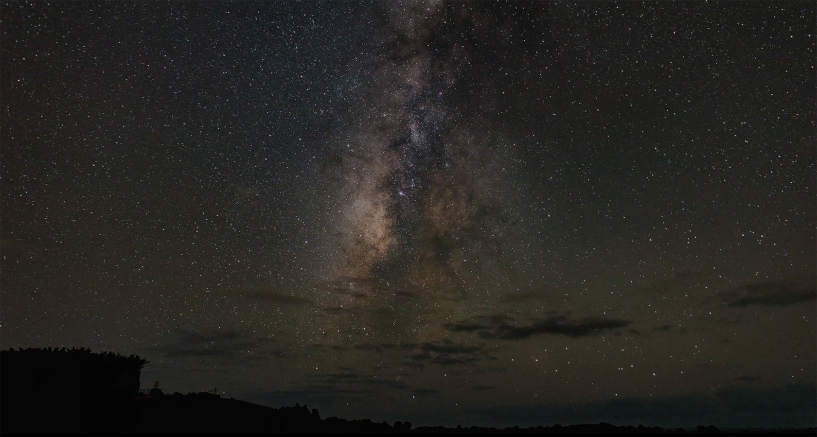 shin - Artist Profile