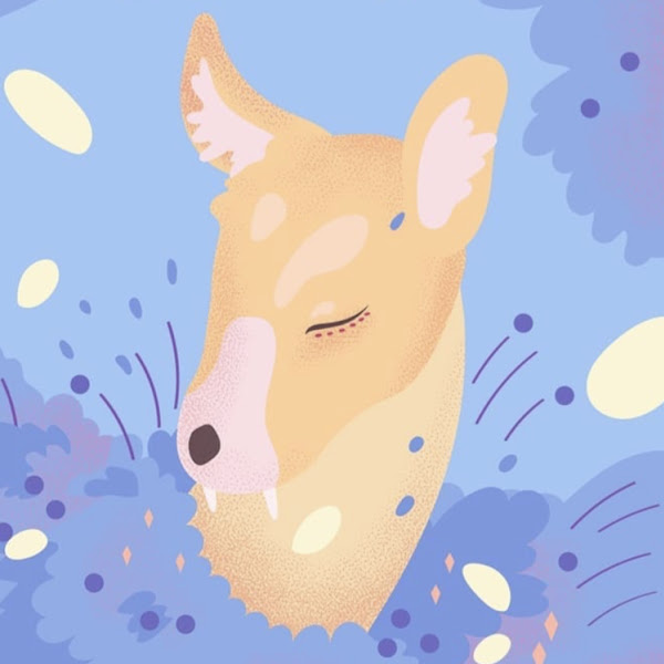 GORANI_COMPOSITION - Artist Profile