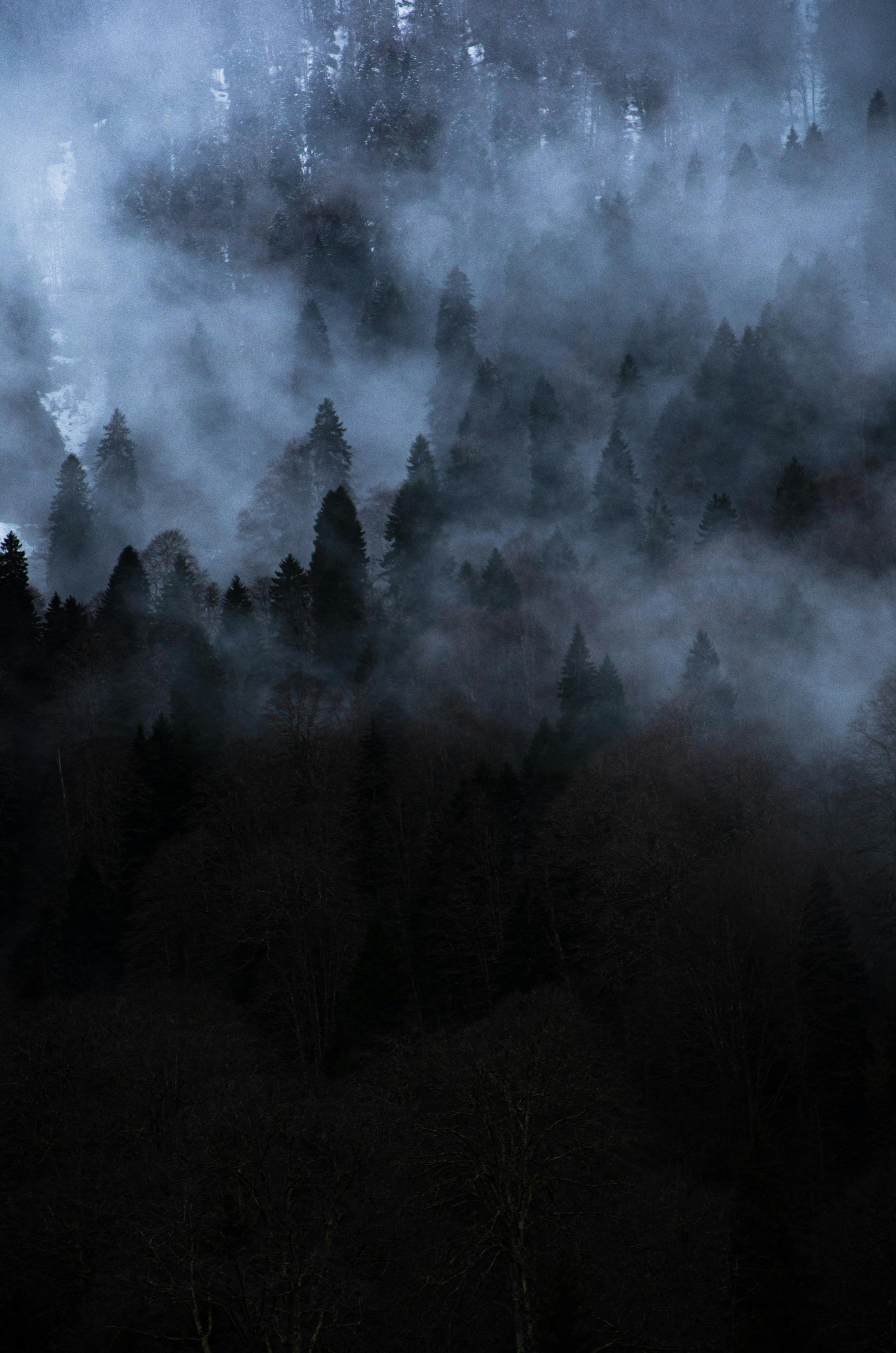 quadsound_끝까지 잡는다.(chase scene)