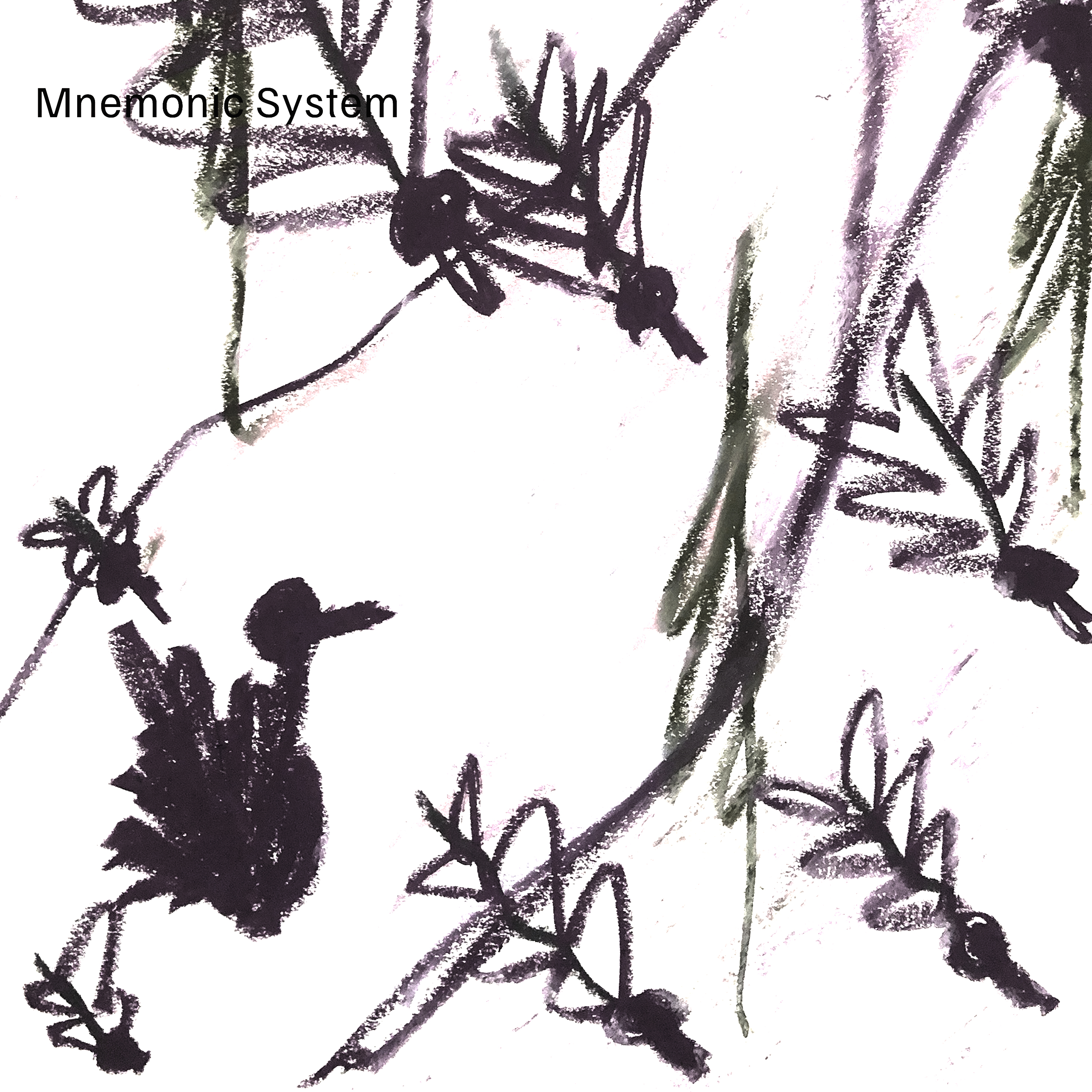 바라보기 (Behold)