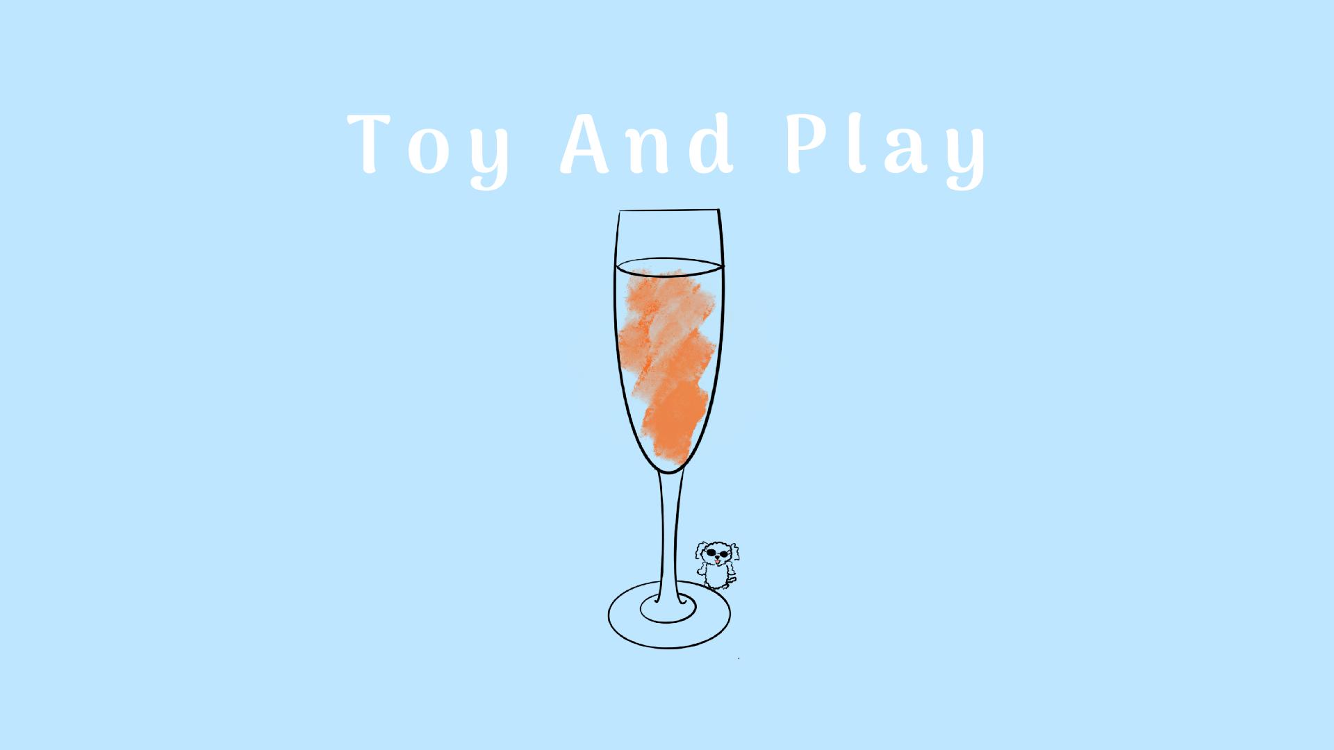 Toy And Play