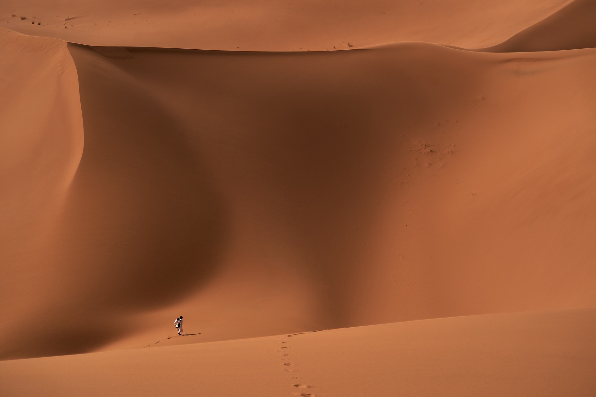 Wilderness