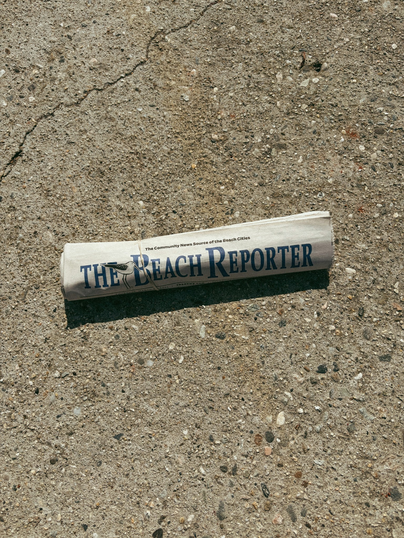 REPORTER