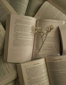 Open the books