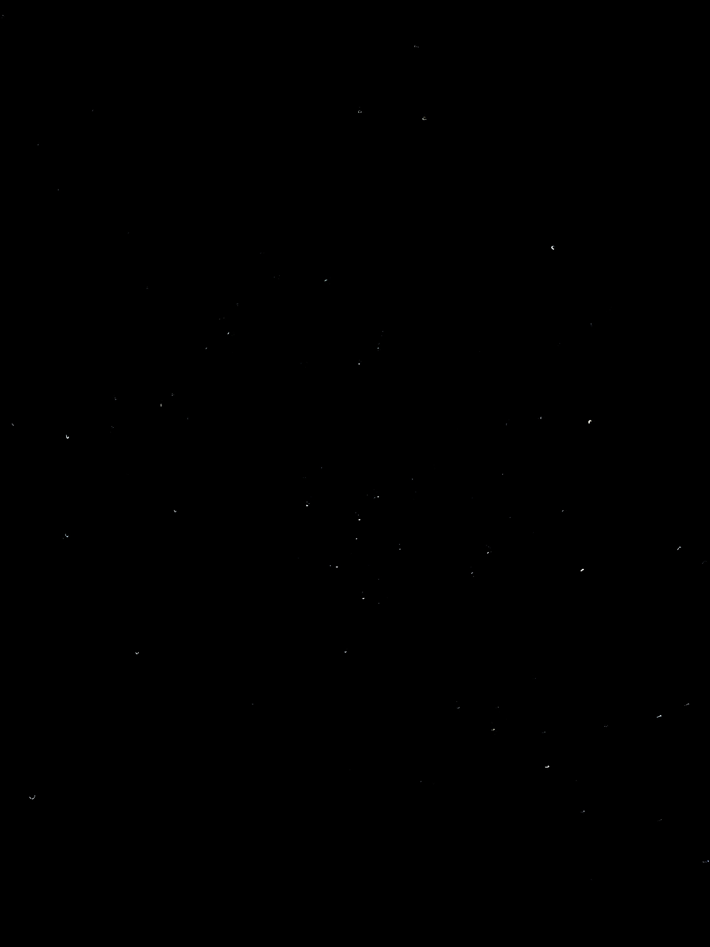 Wonder Library 참가곡