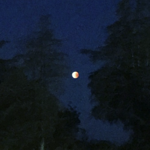 Before Daylight 2023 ver. (Pre-T + Post-T Voice Duet)