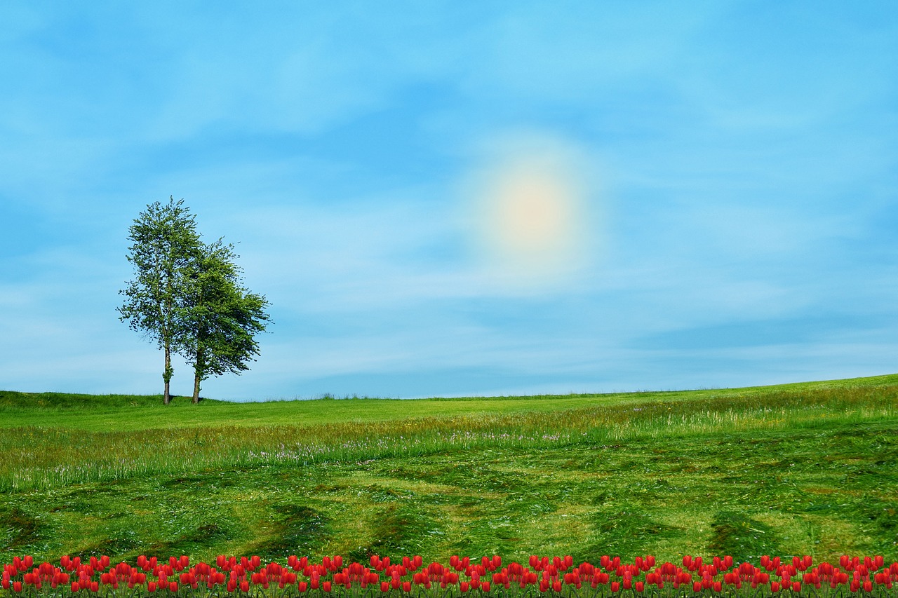 New Age_Piano_Breezy Meadows_95