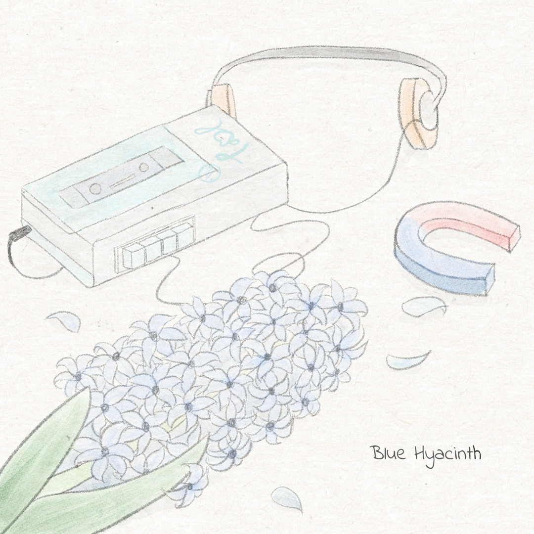 J-POP Rock [Blue Hyacinth]