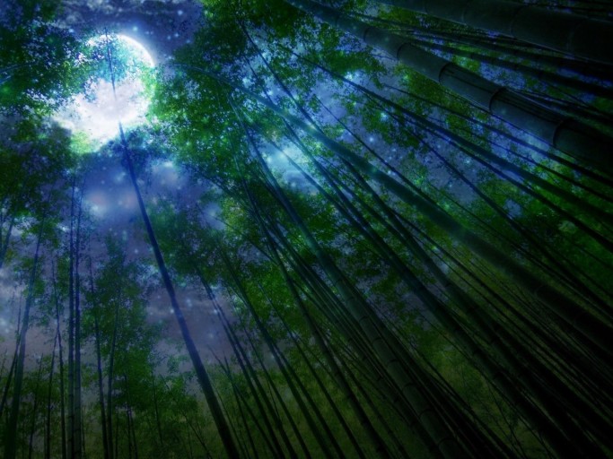 판타지 스릴러 BGM 포트폴리오