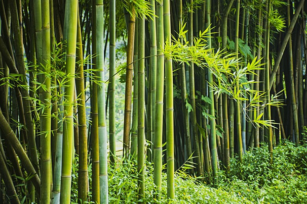 Title : 사운드 오브 보이스 Soundtrack #연극음악 #테마뮤직 #사운드트랙