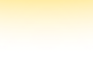 릴리 크래프트 지원