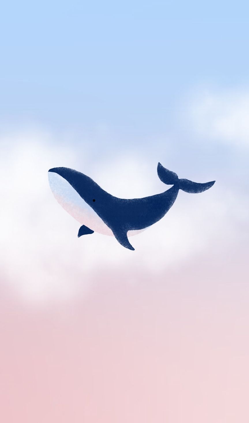 세햐(Sehya) - Artist Profile