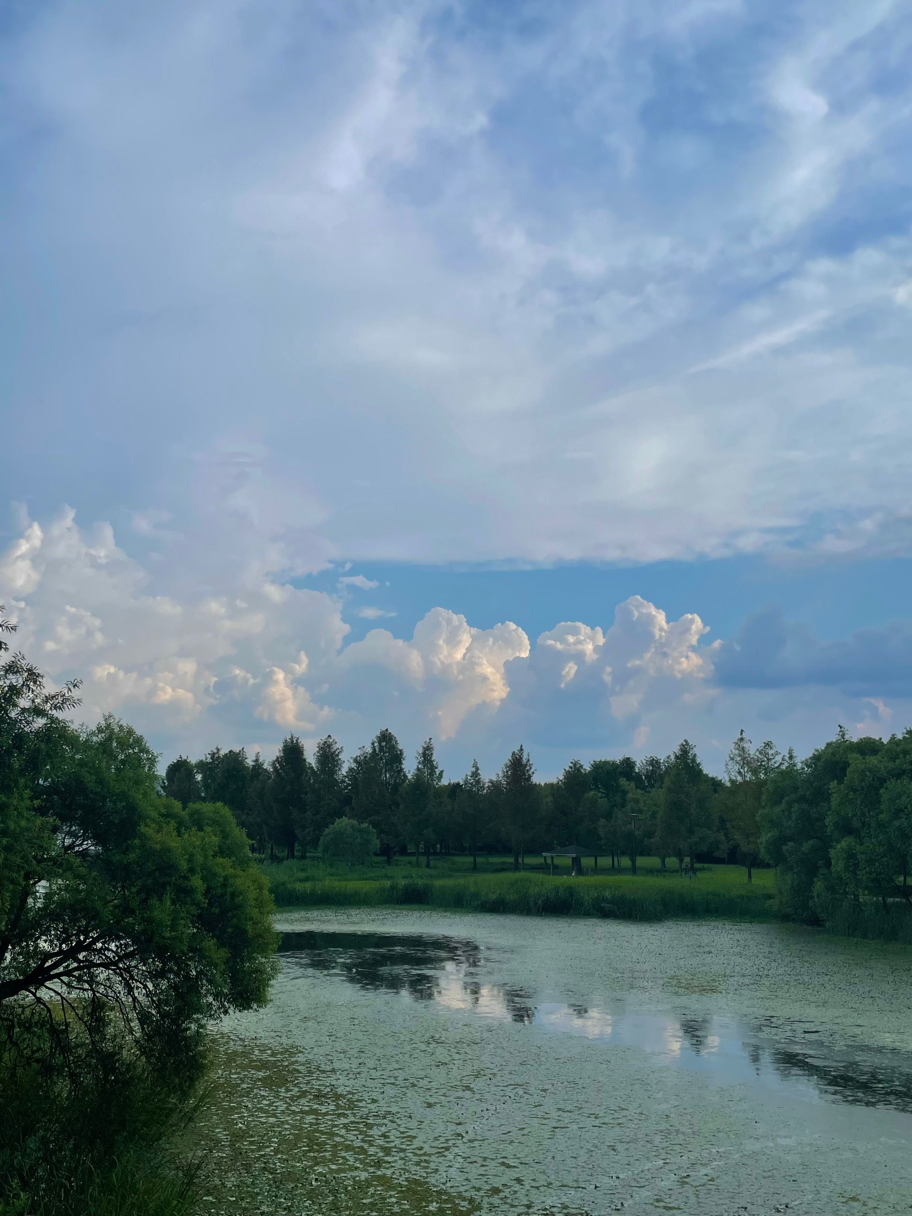 Young - Artist Profile