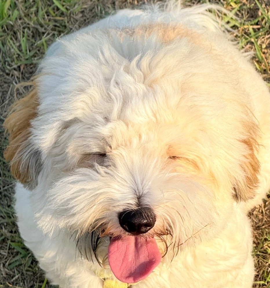 Hui Hyeon - Artist Profile