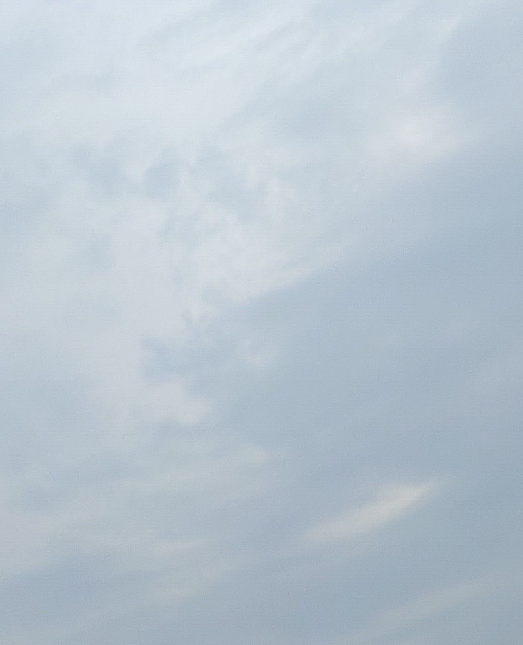 shy - Artist Profile