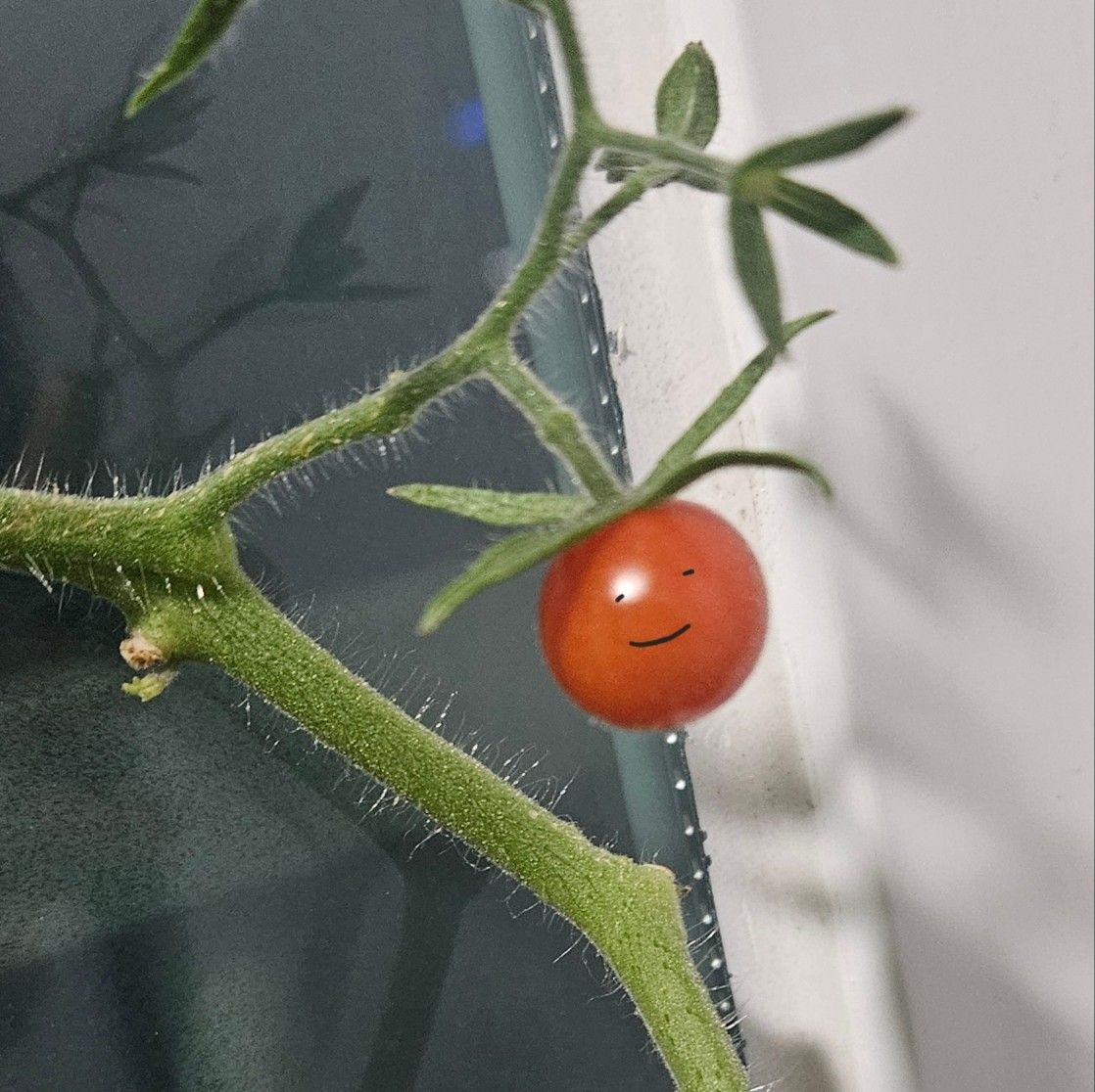 김카도 - Artist Profile