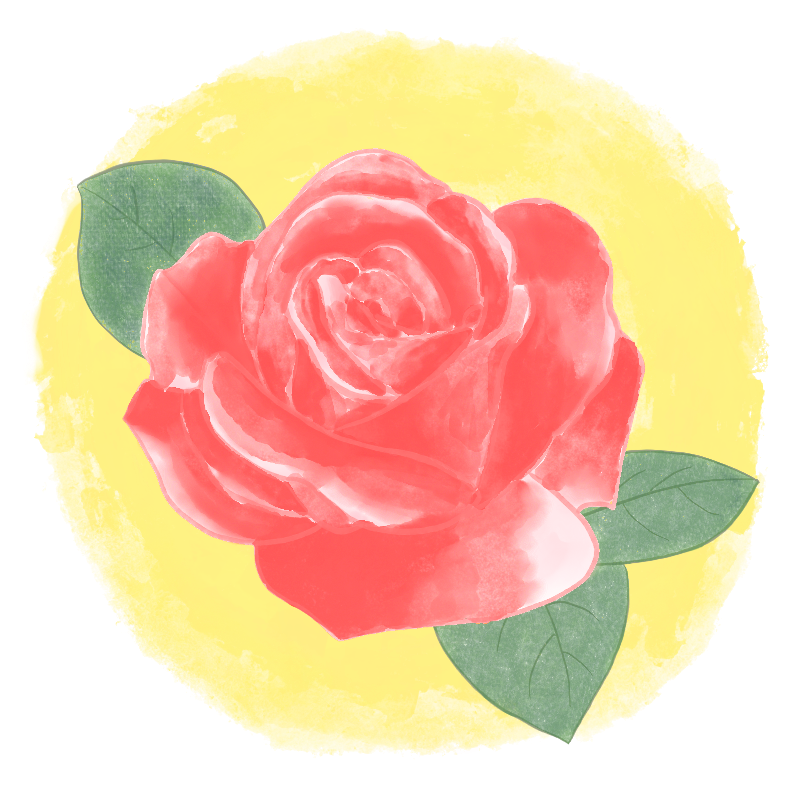 FeelSound - Artist Profile