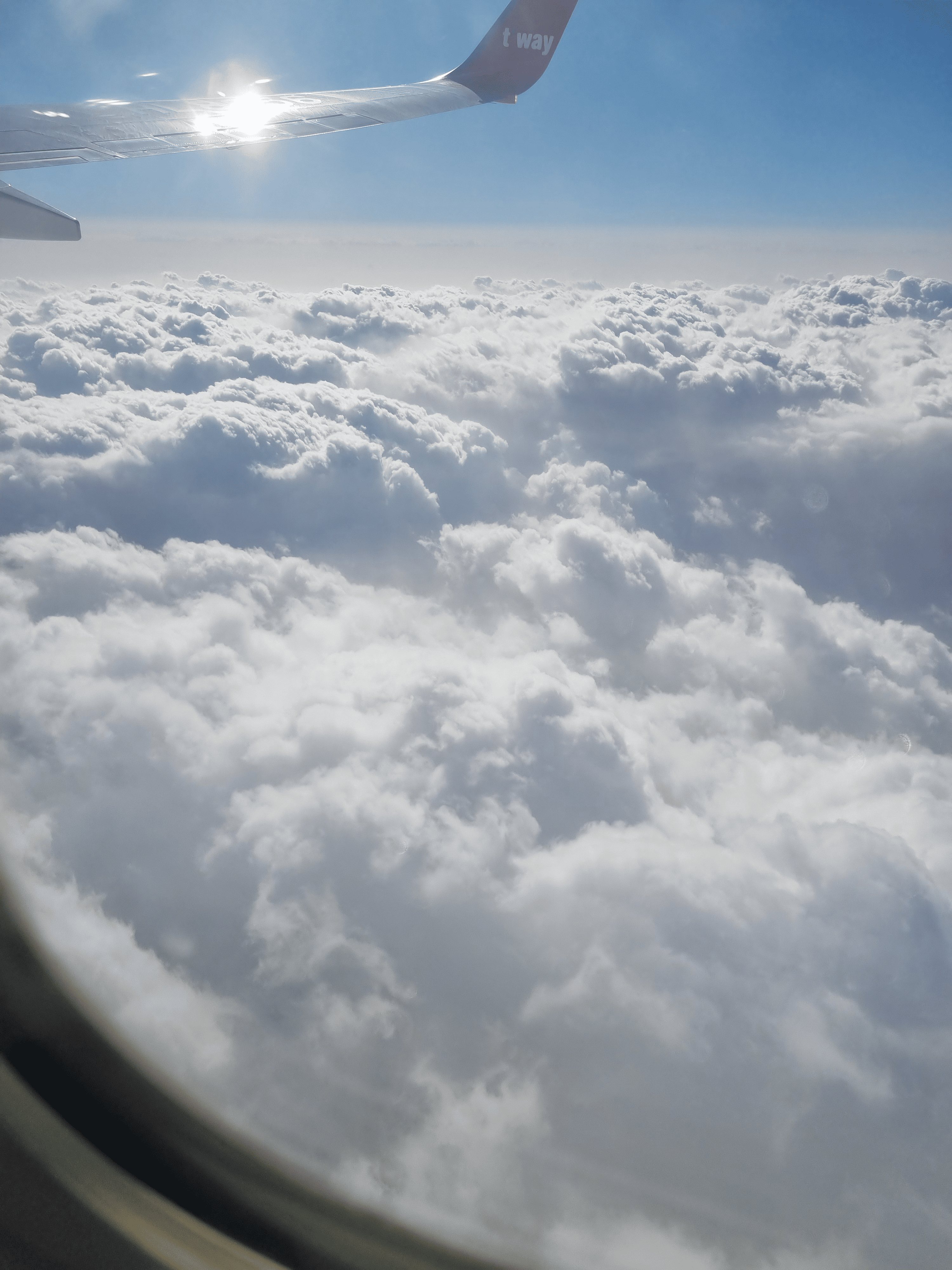 DOHA - Artist Profile