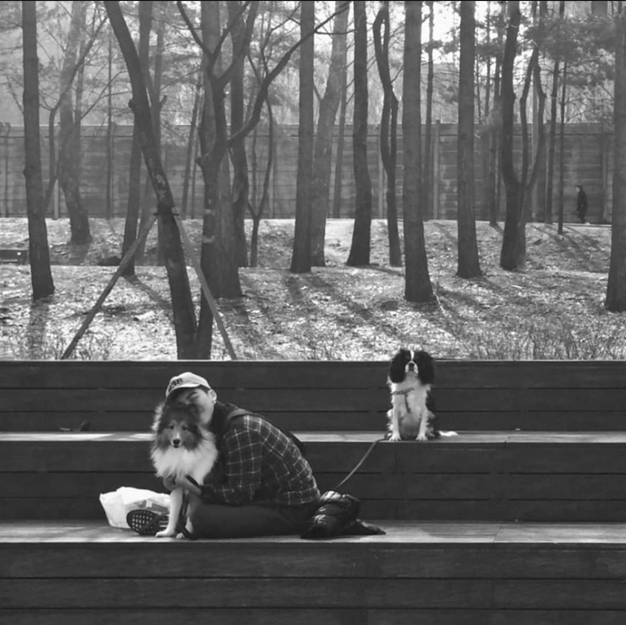 Kisng - Artist Profile