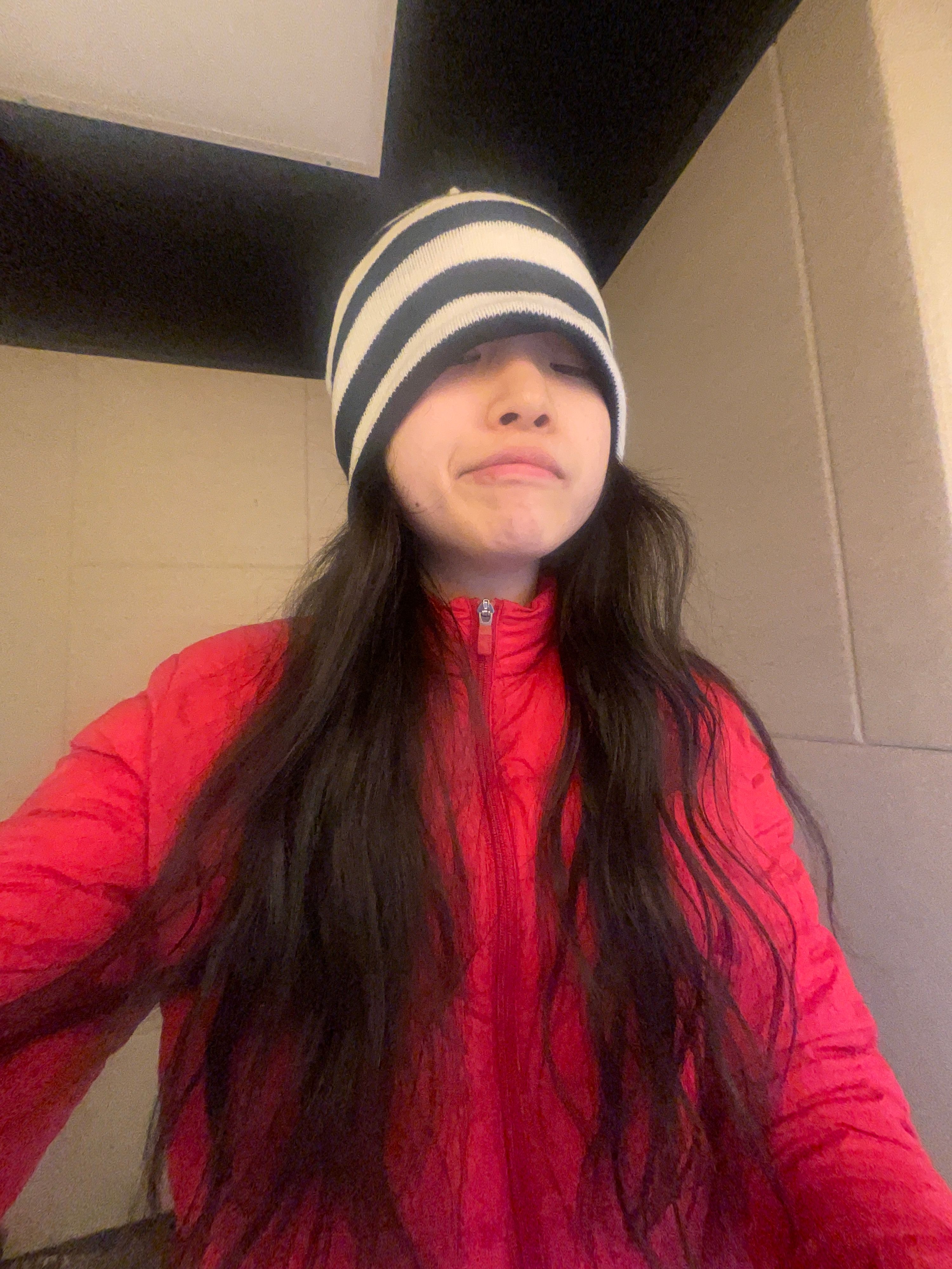 ZYL - Artist Profile