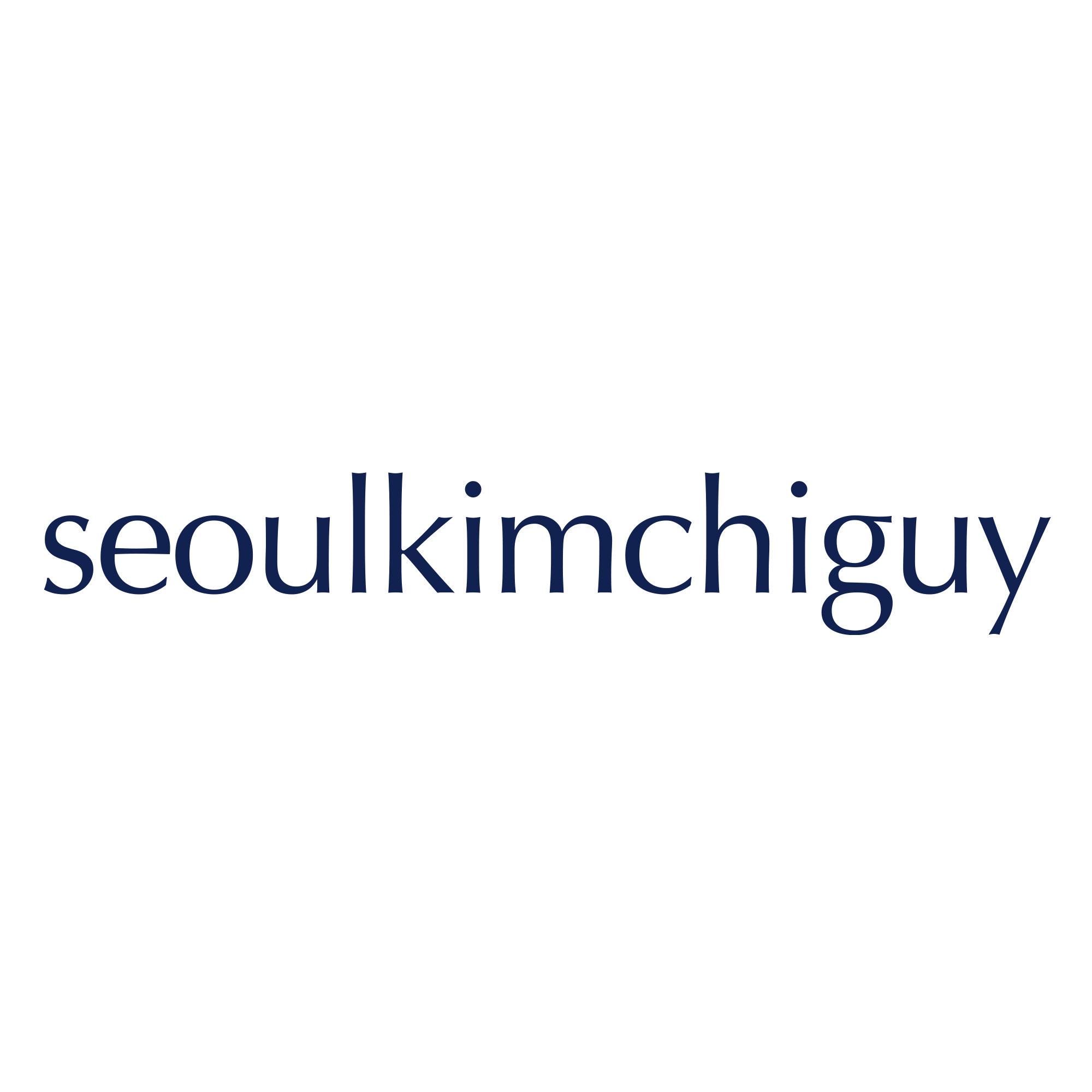 seoulkimchiguy - Artist Profile