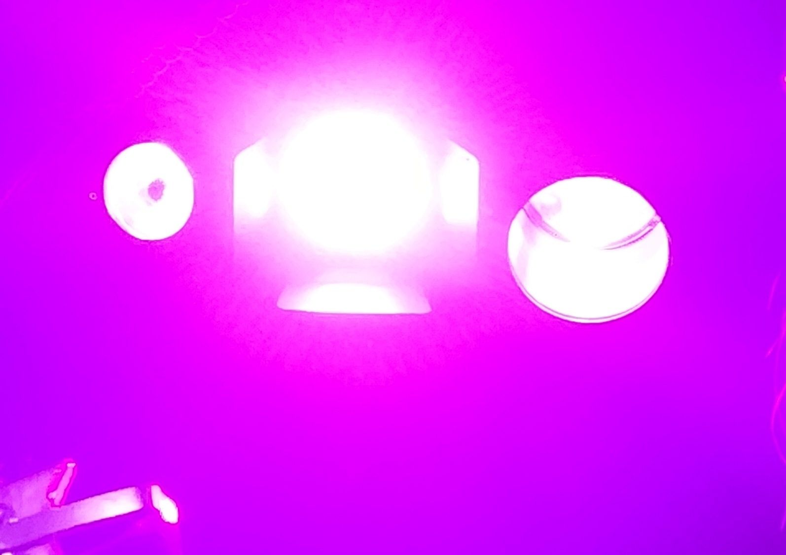 Yuruhira - Artist Profile