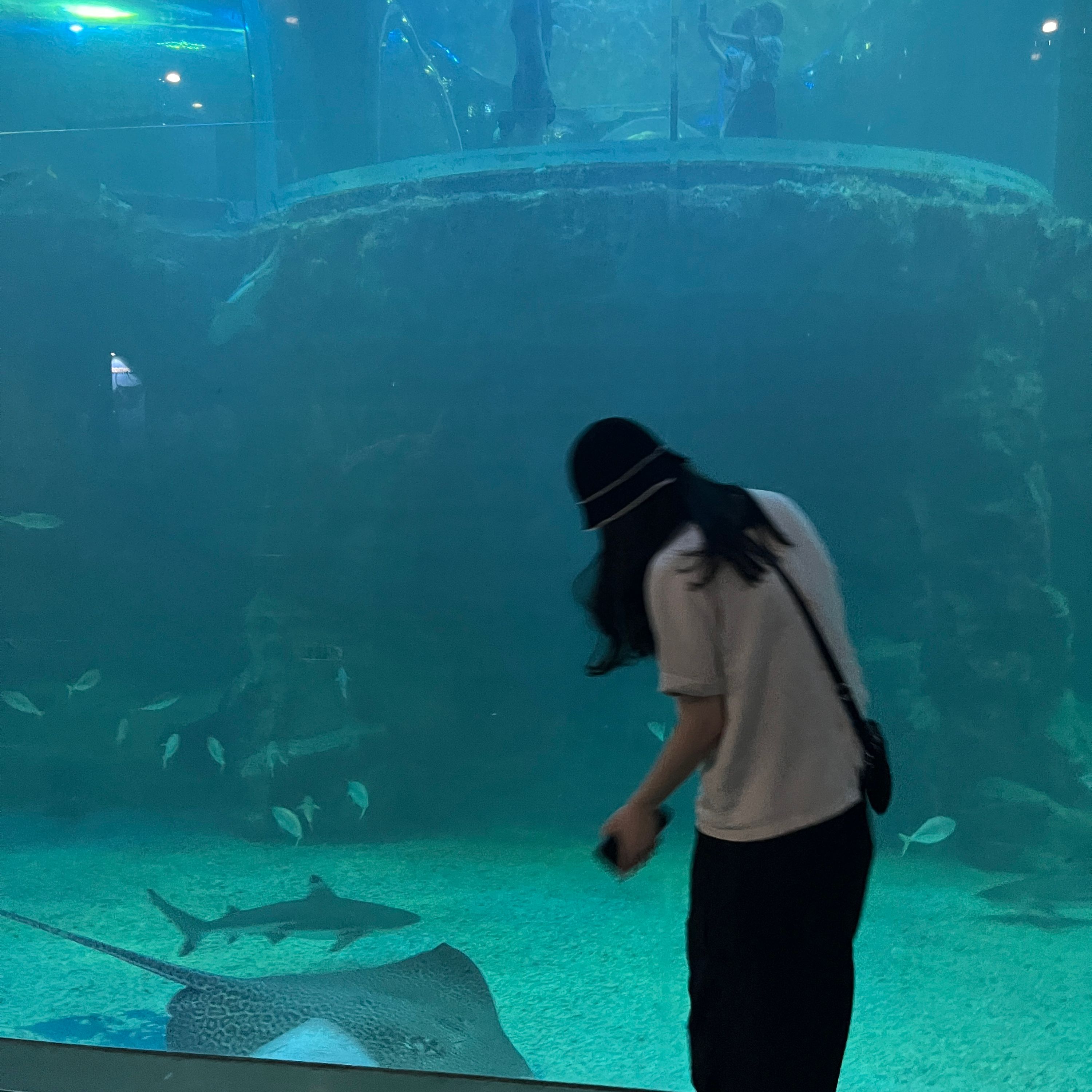 Bae - Artist Profile