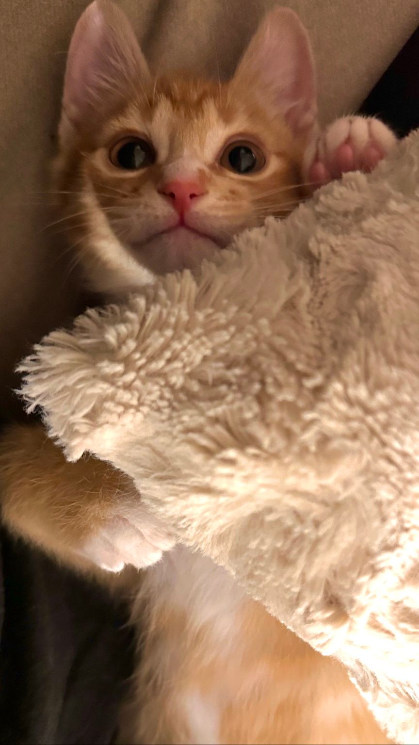 tany - Artist Profile