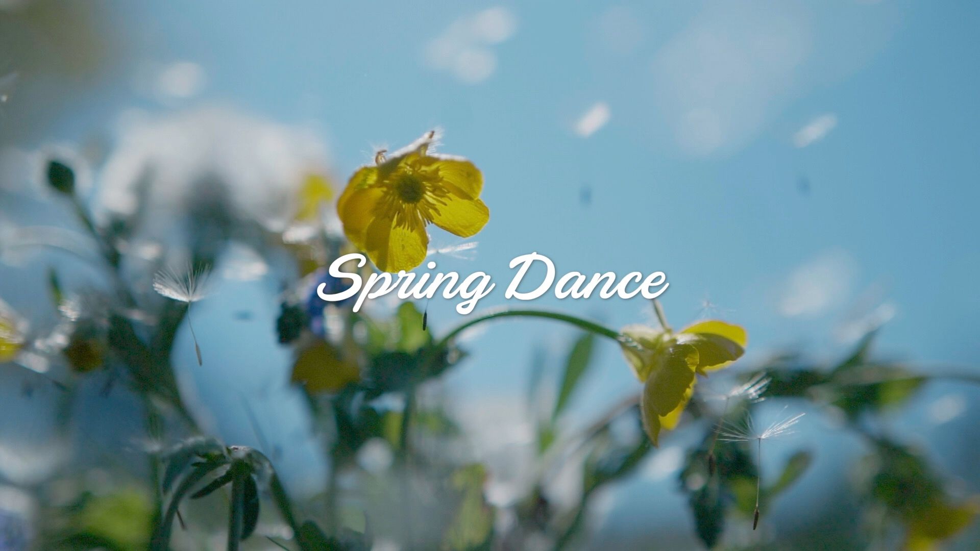 Spring Dance