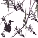 바라보기 (Behold)