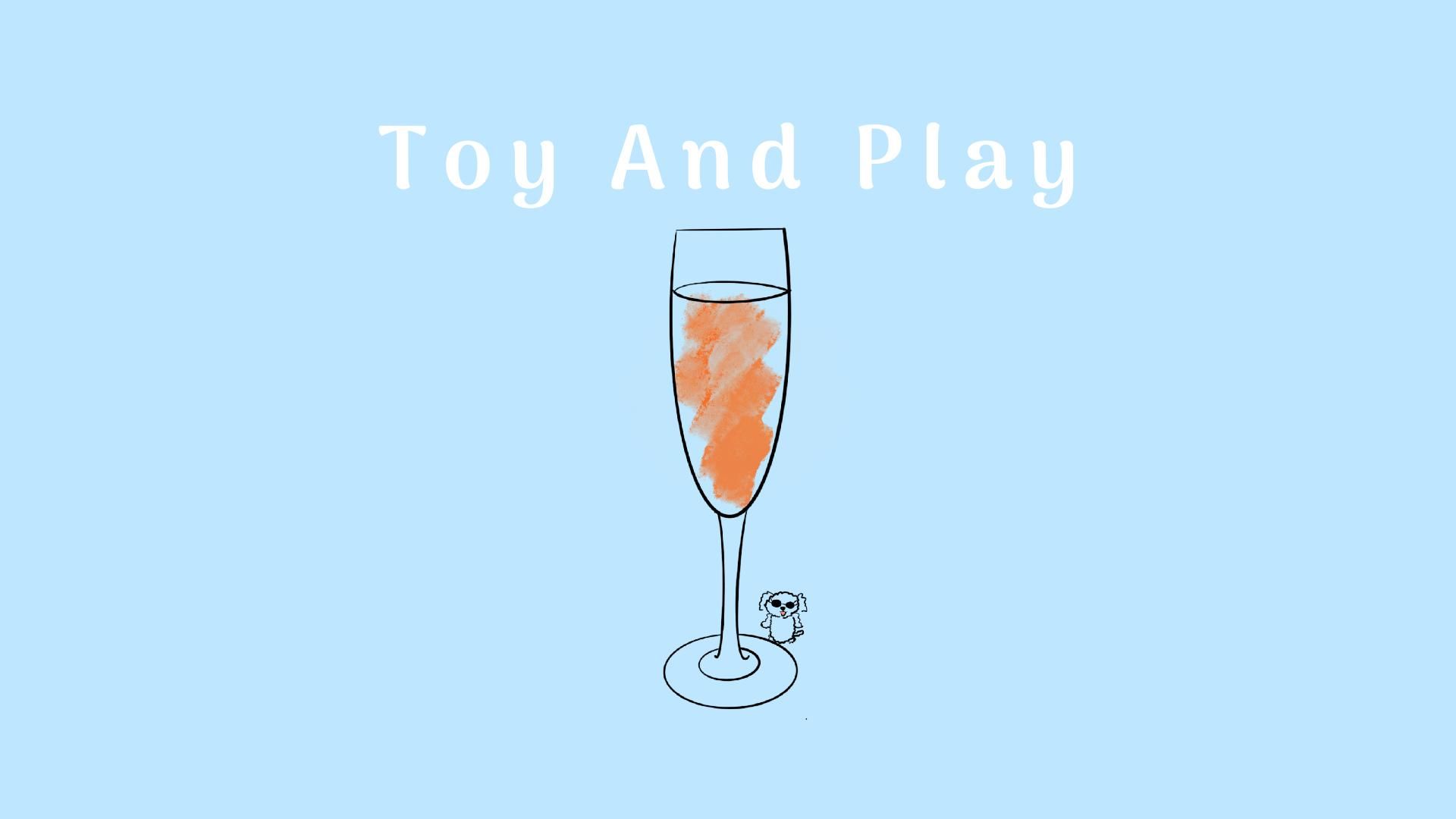 Toy And Play