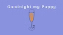 Goodnight my Puppy
