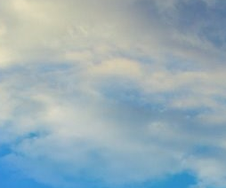 우리의 사계 나비 엄마 지원_정샛별