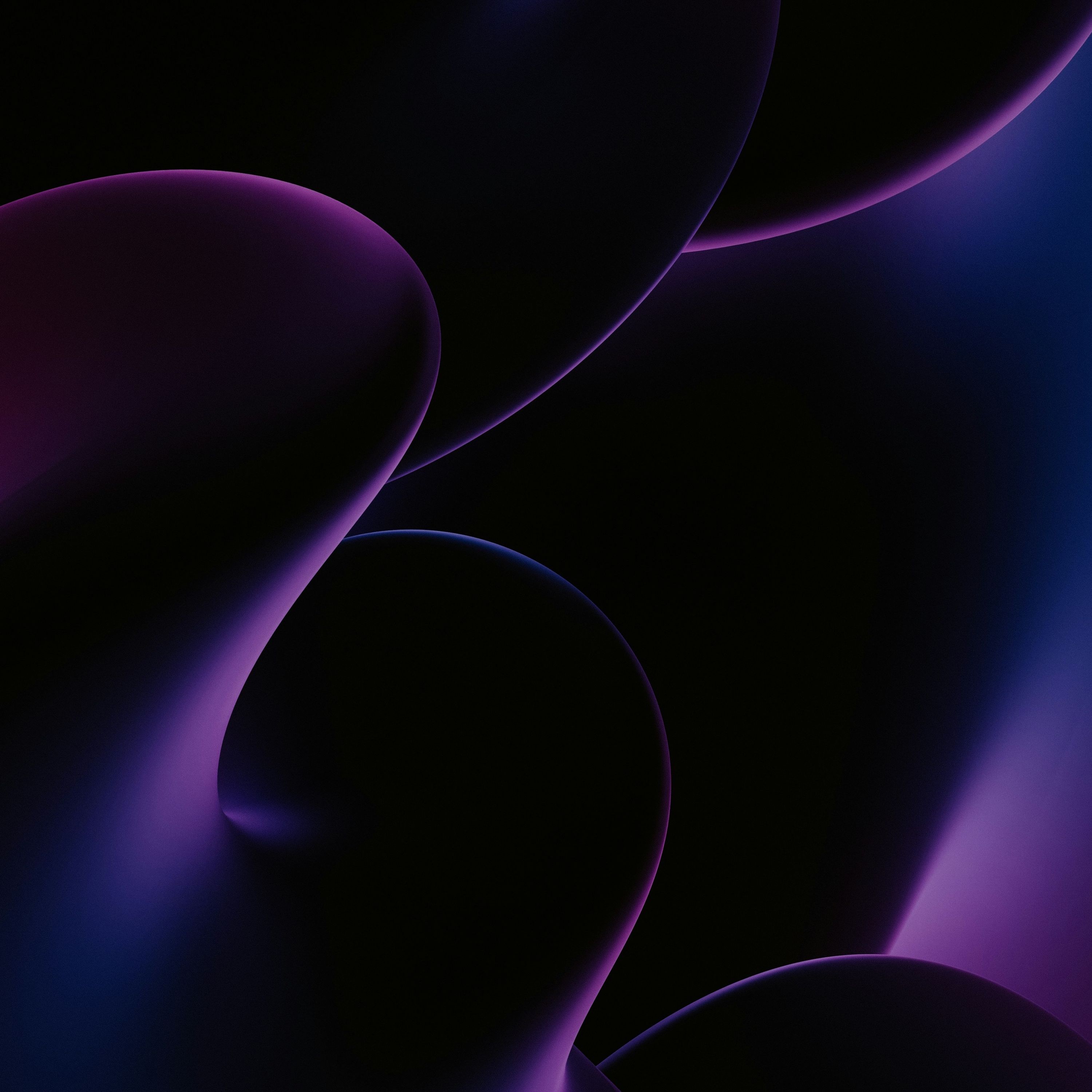 Damp Ground (Characteristic)