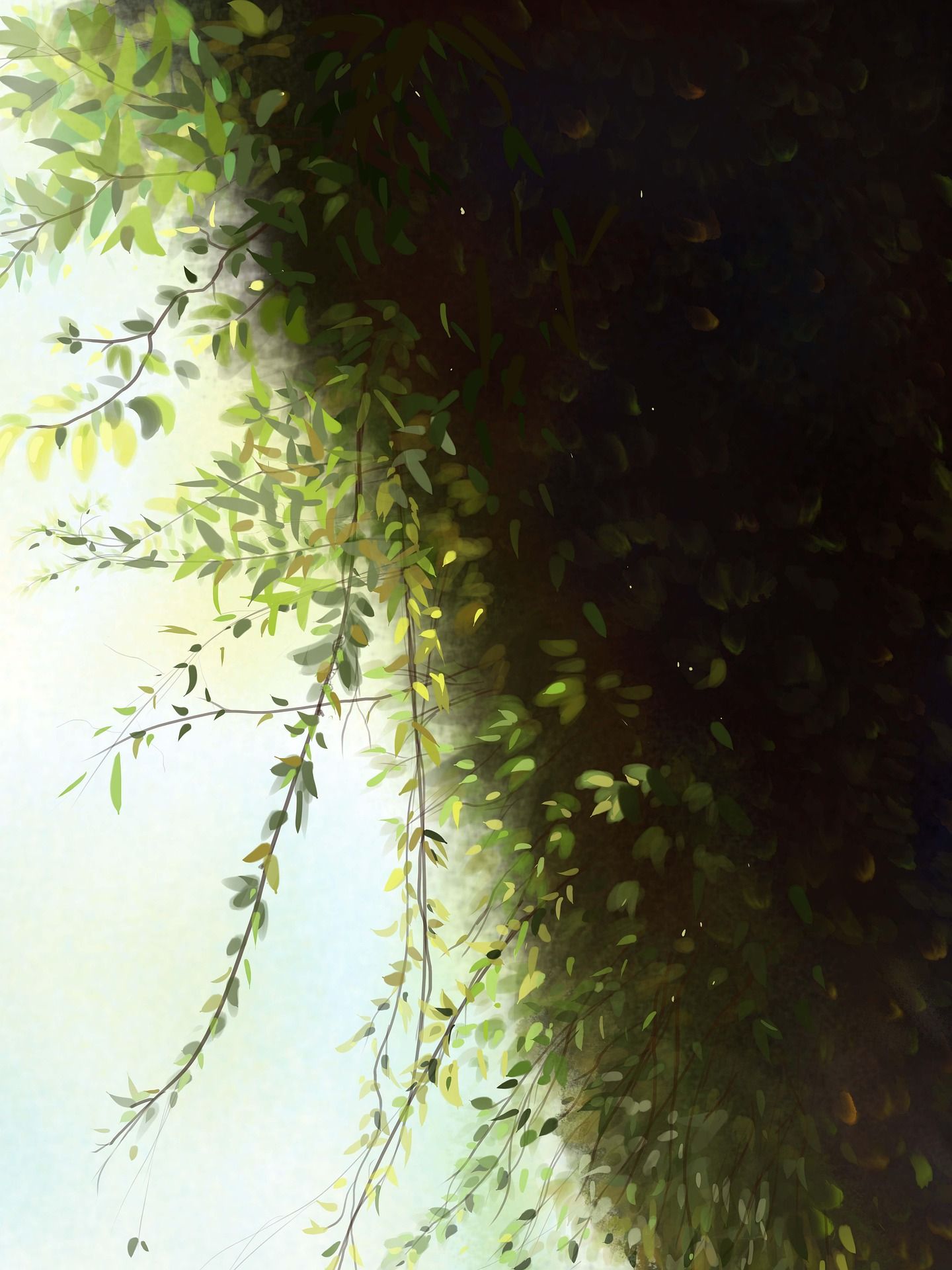 wonderlibrary main theme