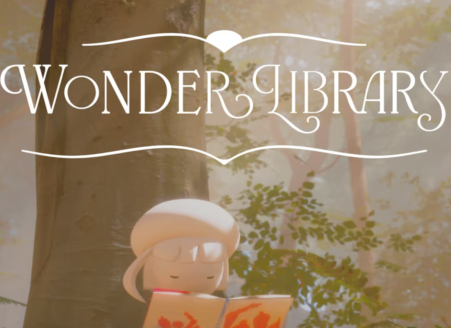Wonder Library - Reflection