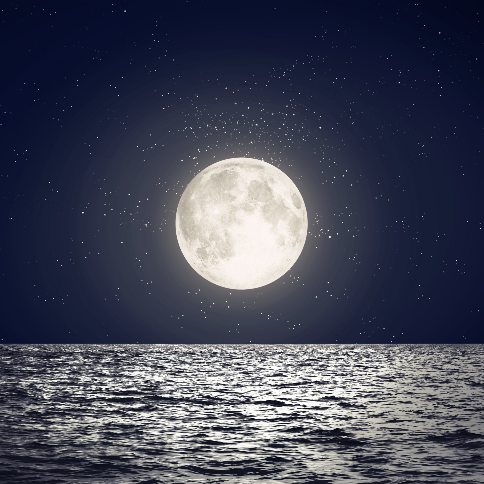 Fly me to the moon 1