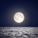 Fly me to the moon 1